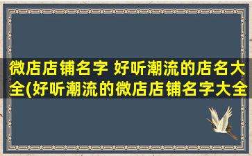 微店店铺名字 好听潮流的店名大全(好听潮流的微店店铺名字大全 - SEO优化)